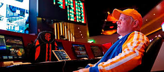 Зеркало Don Cash Casino